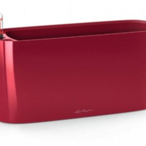 Scarlet Red