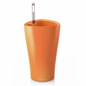 Metallic Orange