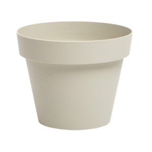 Stone White