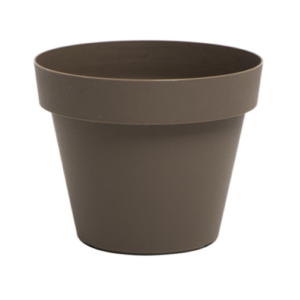 Dark Beige