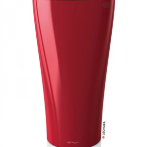Scarlet Red