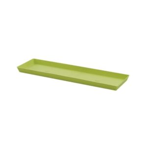Apple Green