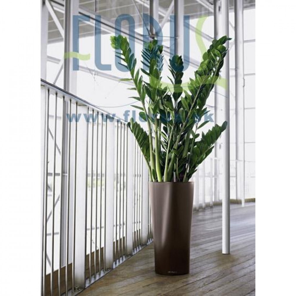 Lechuza Delta Premium German Planter without Irrigation System - Image 3