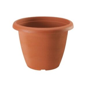 Clay