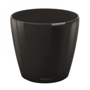 Glossy Black