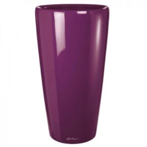 Aubergine