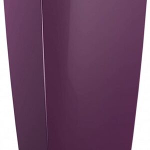Aubergine