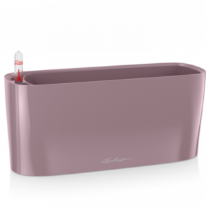 Pastel Purple