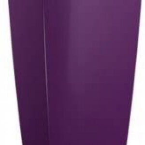 Aubergine