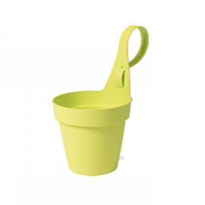 Apple Green