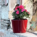 VASSO Turkish Pots