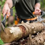 Forestry Tools
